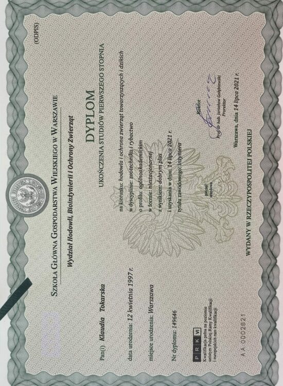 Dyplom ukończenia studiów inżynierskich Klaudia Tokarska - Hodowla i Ochrona Zwierząt Towarzyszących i Dzikich 
