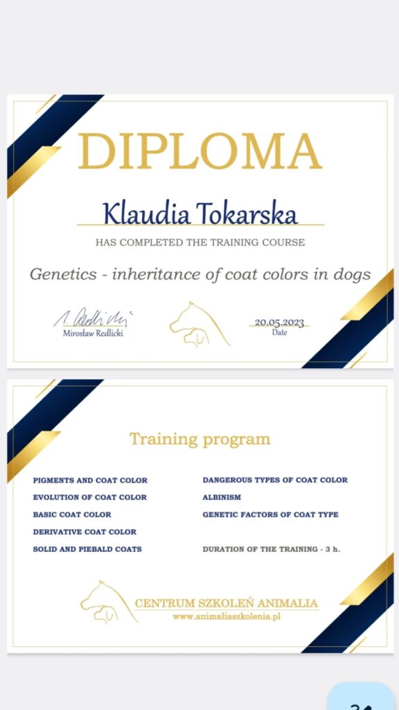 Dyplom Klaudia Tokarska - hodowca psów - dziedziczenie umaszczeń w hodowli psów