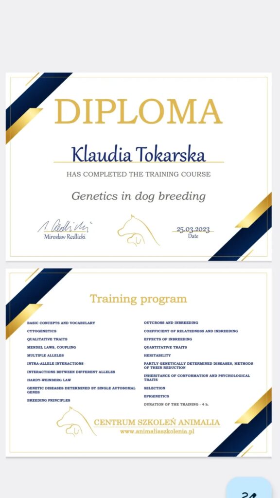 Dyplom Klaudia Tokarska - zoopsycholog behawiorysta - genetyka w hodowli psów 
