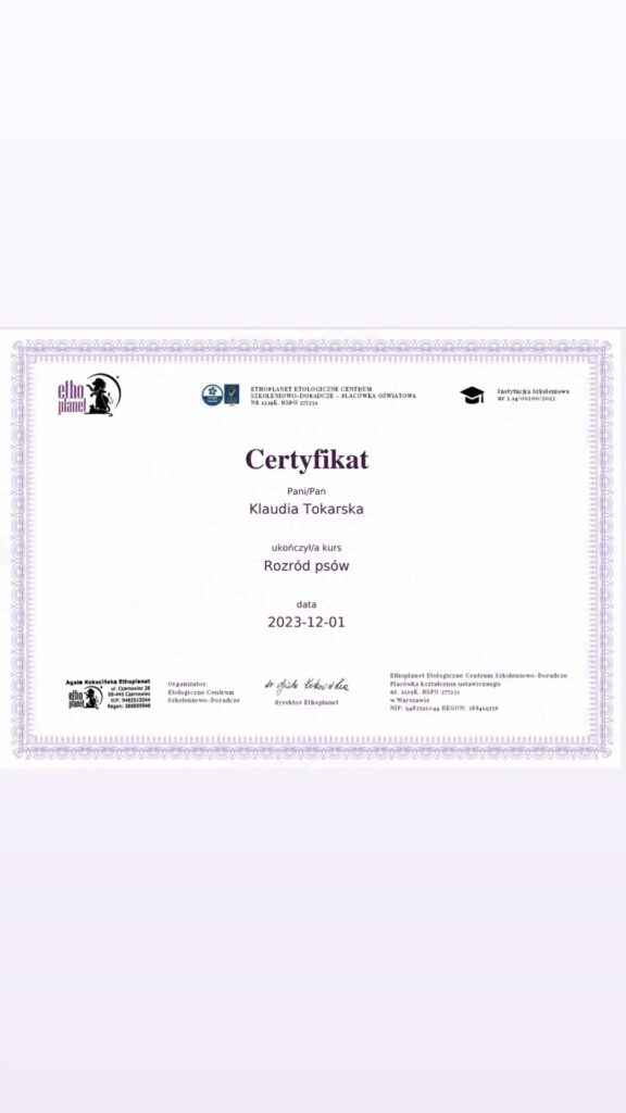 Certryfikat Klaudia Tokarska - hodowca psów - Rozród psów