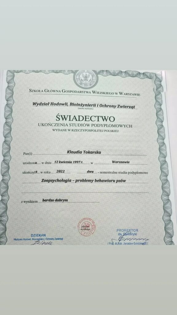 świadectwo ukończenia studiów podyplomowych Klaudia Tokarska - zoopsychologia - problemy behawioru psów  