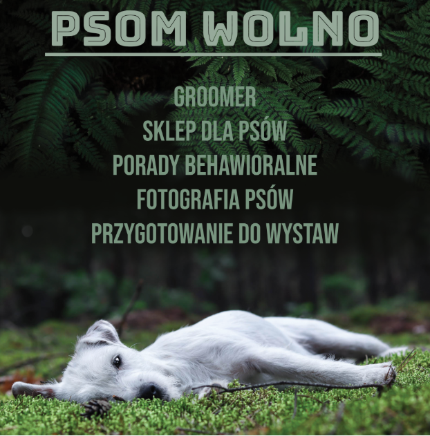 Psom Wolno - centrum dla psów
Groomer
behawiorysta 
fotografia psów
szkolenie psów 