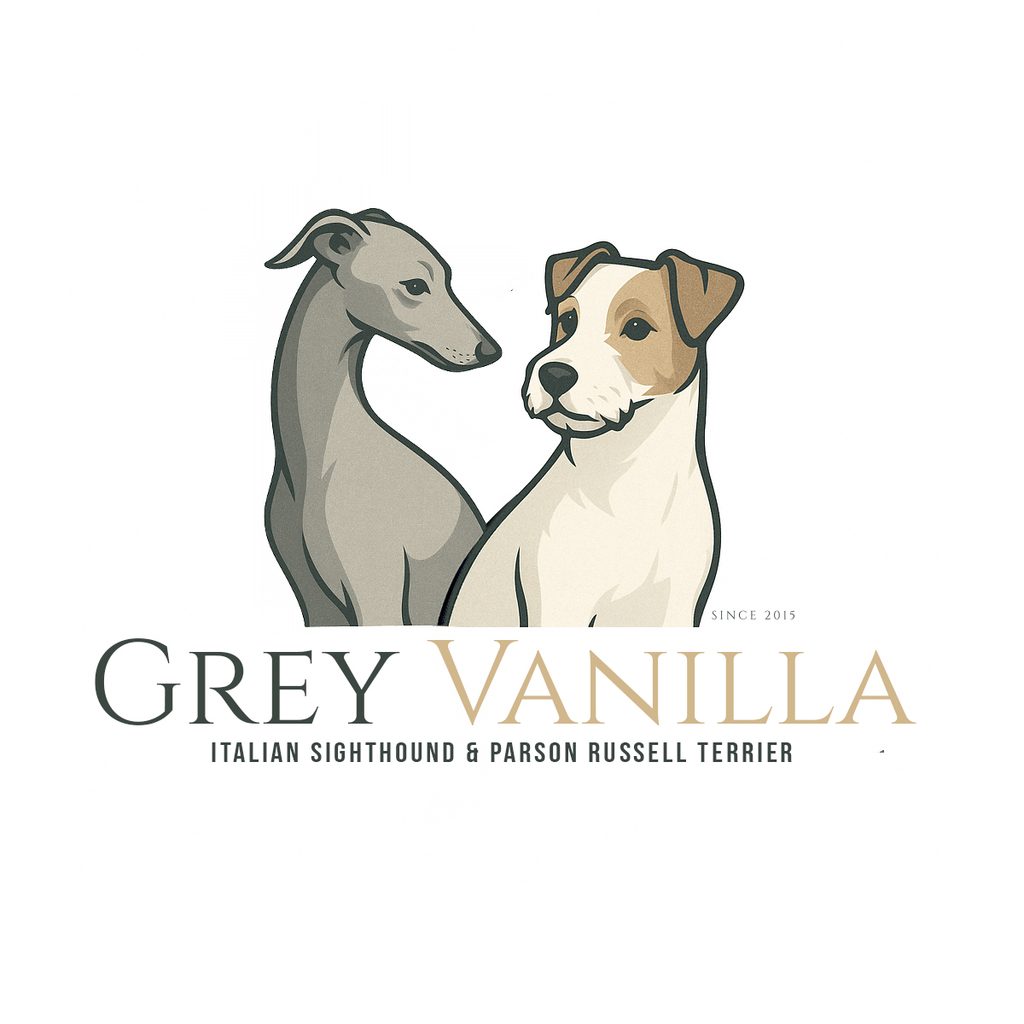 logo hodowli charcików włoskich grey vanilla FCI